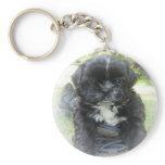 Shih Tzu Puppy Key Chain keychains