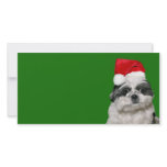 Shih Tzu Santa photo cards