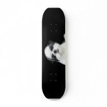 Shih Tzu skateboard