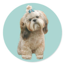 Shih Tzu Sticker