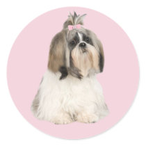 Shih Tzu Sticker