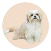 Shih Tzu Sticker