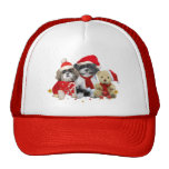 Shih Tzu & Teddy Bear Xmas Card Hat