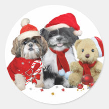 Shih Tzu & Teddy Bear Xmas Card Round Sticker