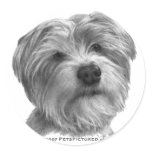 Shih Tzu-Terrier Mix stickers
