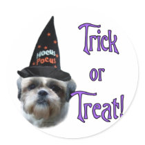 Shih Tzu Trick