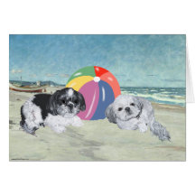 Shih Tzus at the Beach Greeting Card