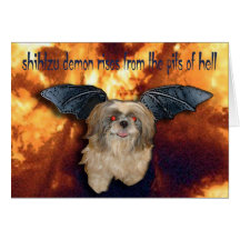 shihtzu demon card