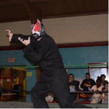shilo in the ring photo cutouts