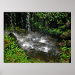 Shimmering Waters posters