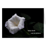 Shine Forth card
