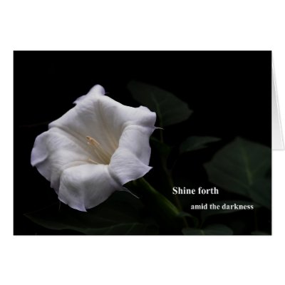 Shine Forth card by iwandres