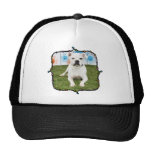 Shiner - Boxer Hats