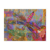 Shining Dragonfly Postcards