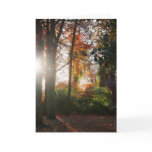 Shining Light Greetings & Note Card