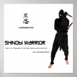 shinobi warrior poster