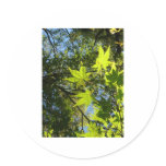 shiny green leafs stickers
