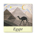 Ship of the Desert magnets