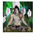 shiva hindu god tshirt