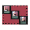 Shiva the Snowshoe postcards