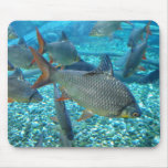 Shoal of fish mousepads