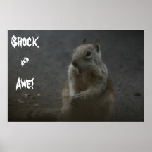 Shock& Awe! Print