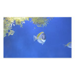 Shocked Fish stickers