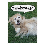 Shocked Golden Retriever Birthday Card