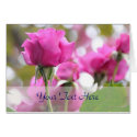 Shocking Pink Rose Beauty Card