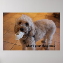 Shoe Size Poster