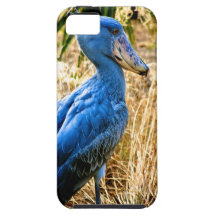 Shoebill Bird Photo iPhone 5 Case