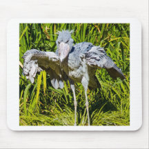 Shoebill Stork Mousepad