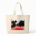 shoes bags