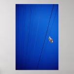 Shoes on a wire posters