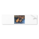 Shoes - Vincent Van Gogh Bumper Stickers