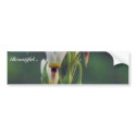 Shooting star bumper stickers
