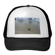 Shoreline 1 mesh hats