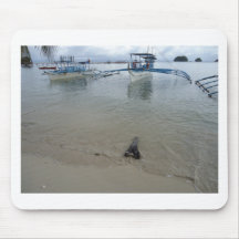Shoreline 1 mousepads