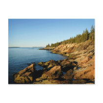 Shoreline Acadia Postcards