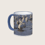Shoreline Gulls Mug