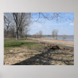 Shoreline View Print