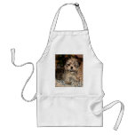 Shorkie Puppy aprons