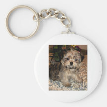 Shorkie Puppy Key Chains