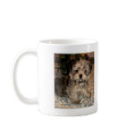 Shorkie Puppy mugs