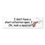 Short Attention Span Squirrel