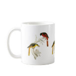 Short-billed Minivet mugs