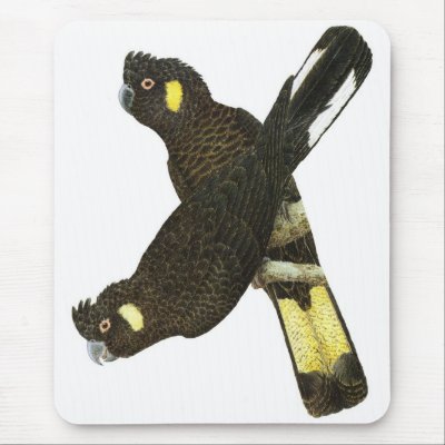 Short-billed & Yellow-tailed Black Cockatoos Mouse Pads by LisasLair