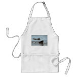 Short-finned pilot whale aprons