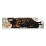 Short-horned Lizard Bumper Sticker