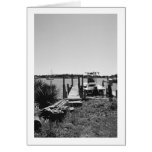 Short Pier cards